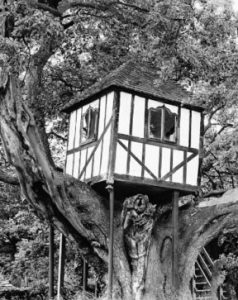 Cabane dans l'arbre de Pitchfor Hall