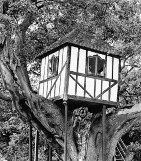 #1 Un peu d’histoire…des cabanes dans les arbres !