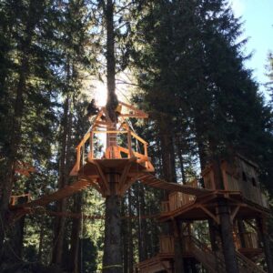 Les cabanes perchées de Shreddie à Avoriaz - réalisation Dreamwood Outdoor