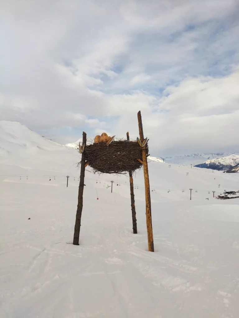 Nid du Gypaete - Val d'Isère - réalisation Dreamwood Outdoor