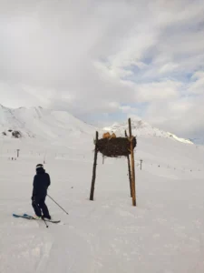 Nid du Gypaete - Val d'Isère - réalisation Dreamwood Outdoor